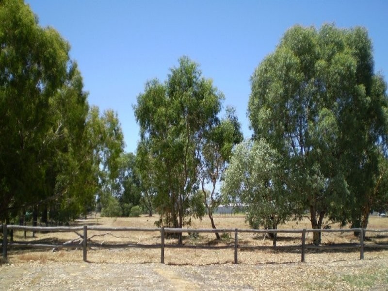 20 Champion Retreat, Pinjarra WA 6208