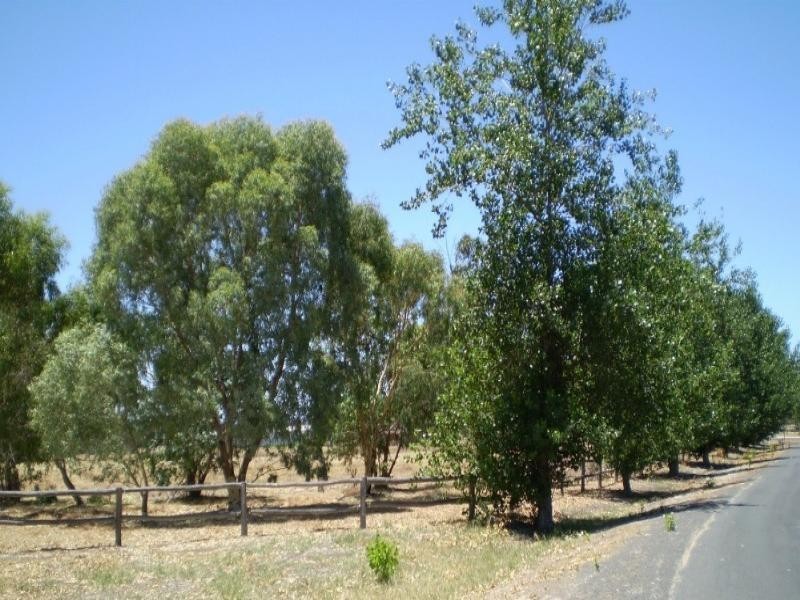 20 Champion Retreat, Pinjarra WA 6208