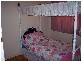 383 Hancock Road, Fairview Park SA 5126