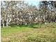 *** Taig Avenue North, Shepparton VIC 3630