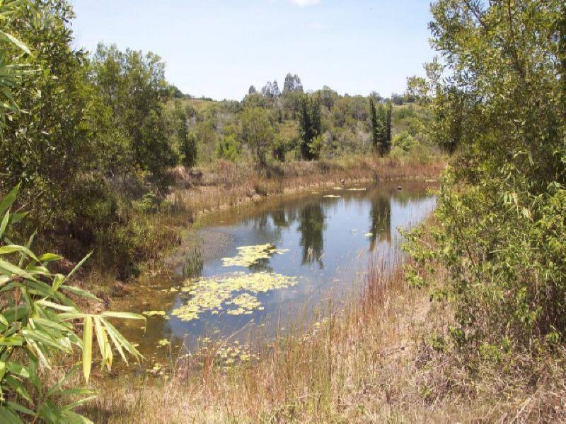 140 Finley Road, Eumundi QLD 4562