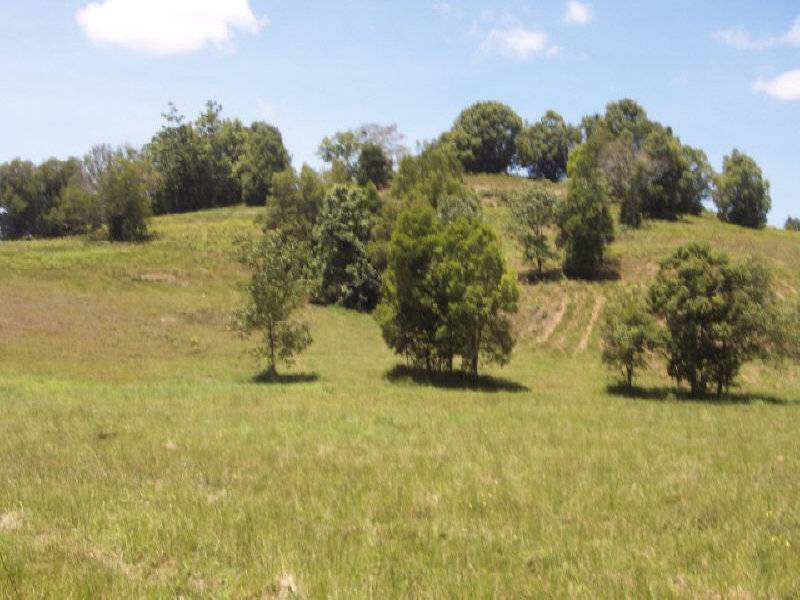 140 Finley Road, Eumundi QLD 4562