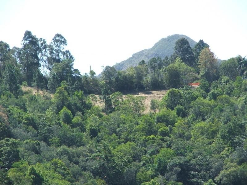 91 Sunrise Rd, Eumundi QLD 4562