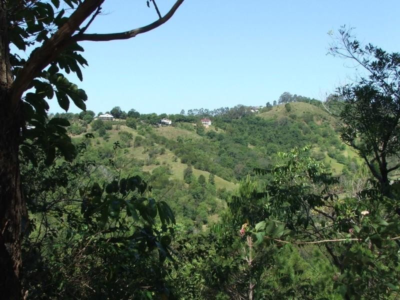 91 Sunrise Rd, Eumundi QLD 4562