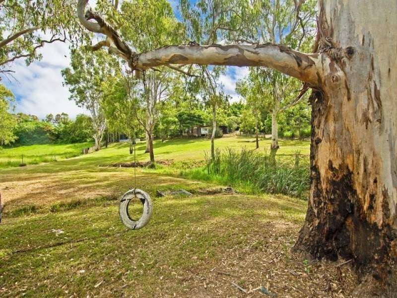 62 Nerang Street, Waterford QLD 4133