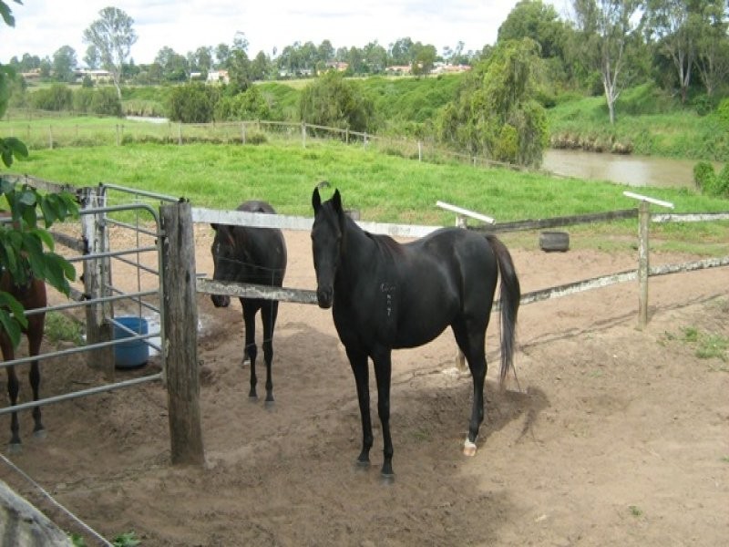 L38-42 Bompa Road, Waterford QLD 4133