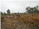 Lot 37 Old Logan Village Road, Waterford QLD 4133