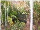 74 Burow Road, Waterford West QLD 4133