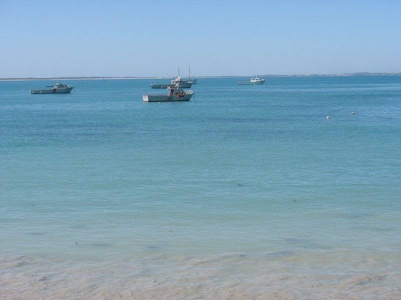 9 Railway Terrace, Beachport SA 5280