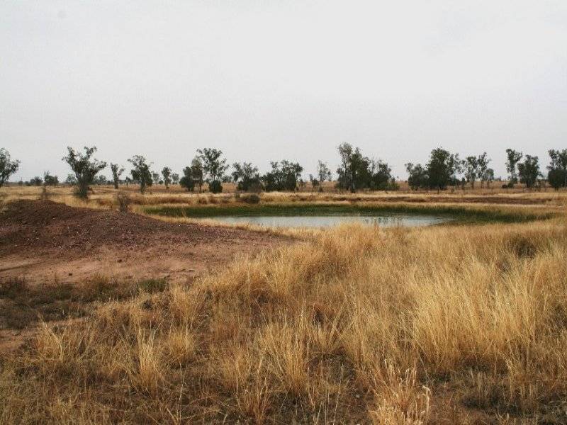 95 Richarsons Lane, Roma QLD 4455