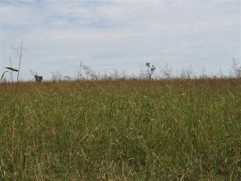 0 Carnarvon Developmental Road, Roma QLD 4455