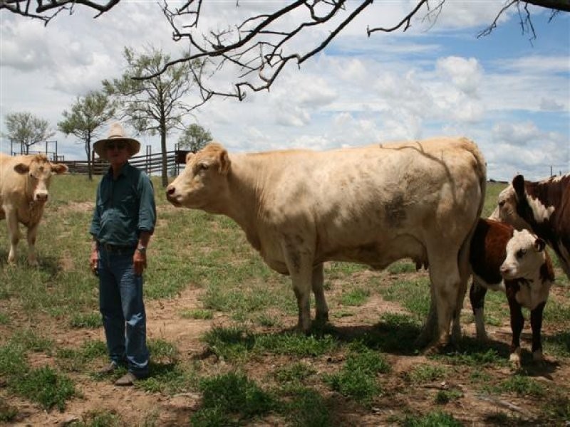 0 Carnarvon Developmental Road, Roma QLD 4455