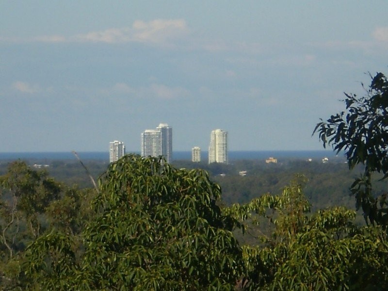 77 Highvale Drive, Helensvale QLD 4212