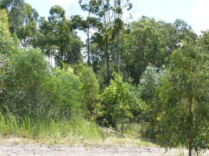 77 Bluetail Crescent, Upper Coomera QLD 4209