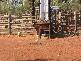 Wyandra QLD 4489