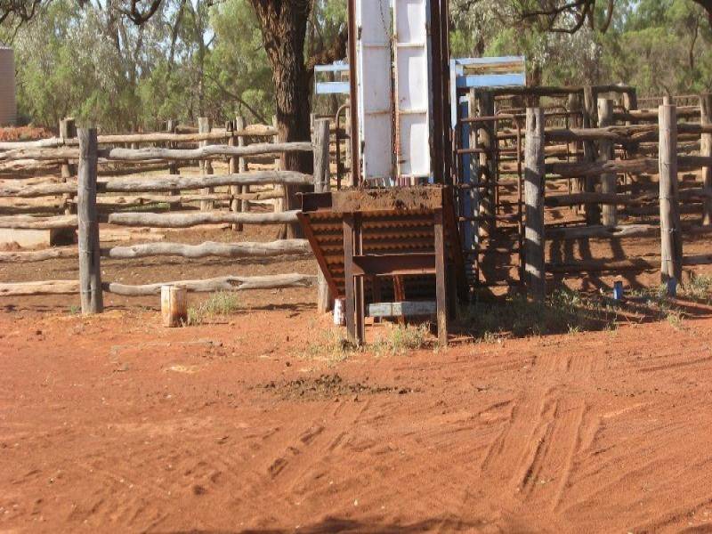 Wyandra QLD 4489
