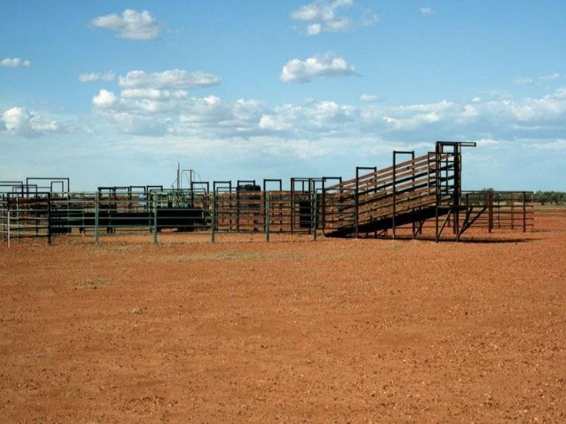 Julia Creek QLD 4823