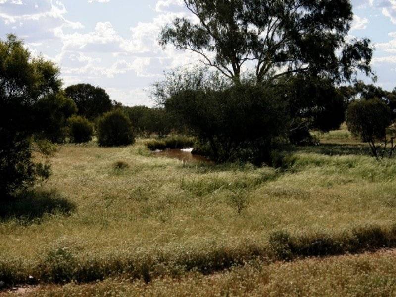 Julia Creek QLD 4823