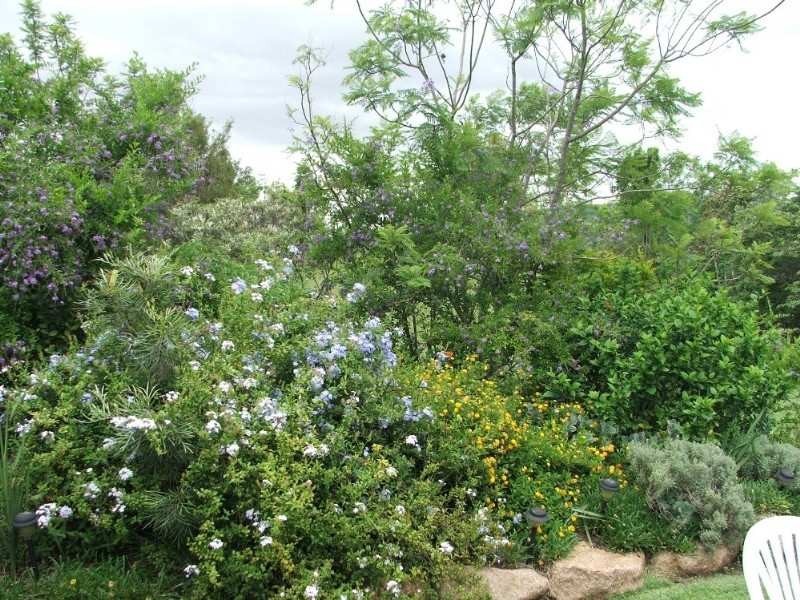 10 Primwood Court, Samford QLD 4520