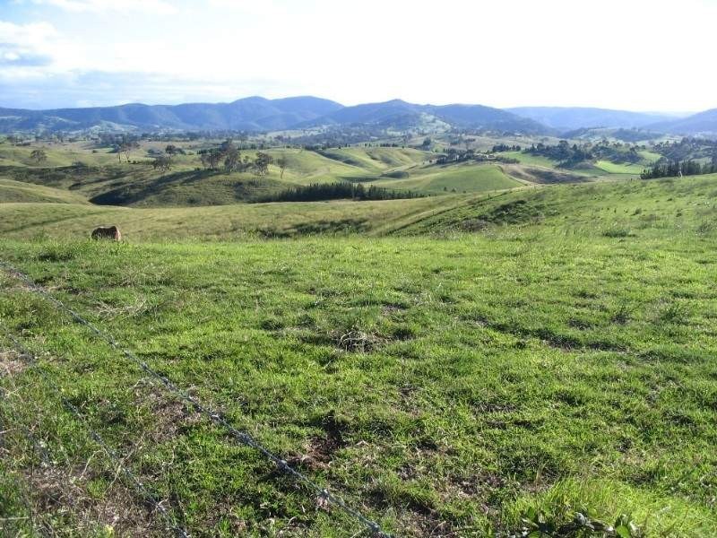 Lot 21 Candelo Wolumla Rd, Candelo NSW 2550