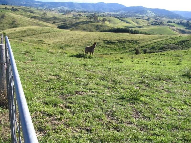 Lot 21 Candelo Wolumla Rd, Candelo NSW 2550