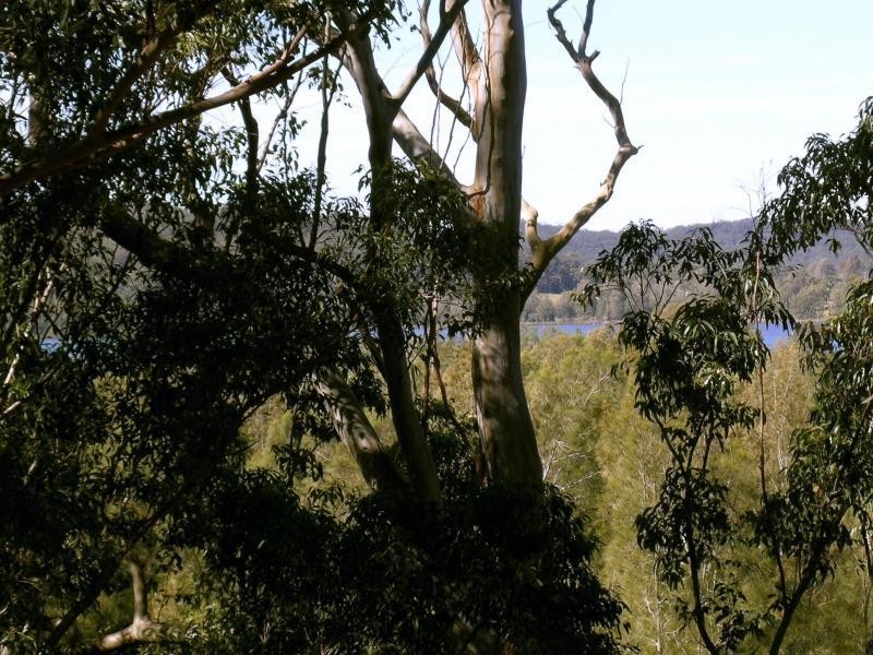 99 Davistown Rd, Saratoga NSW 2251