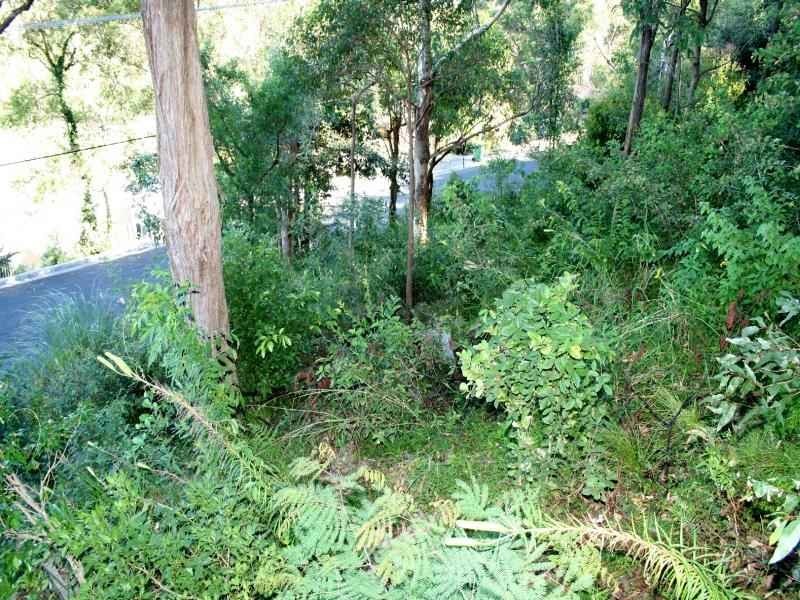 59 Broadwater Dr, Saratoga NSW 2251