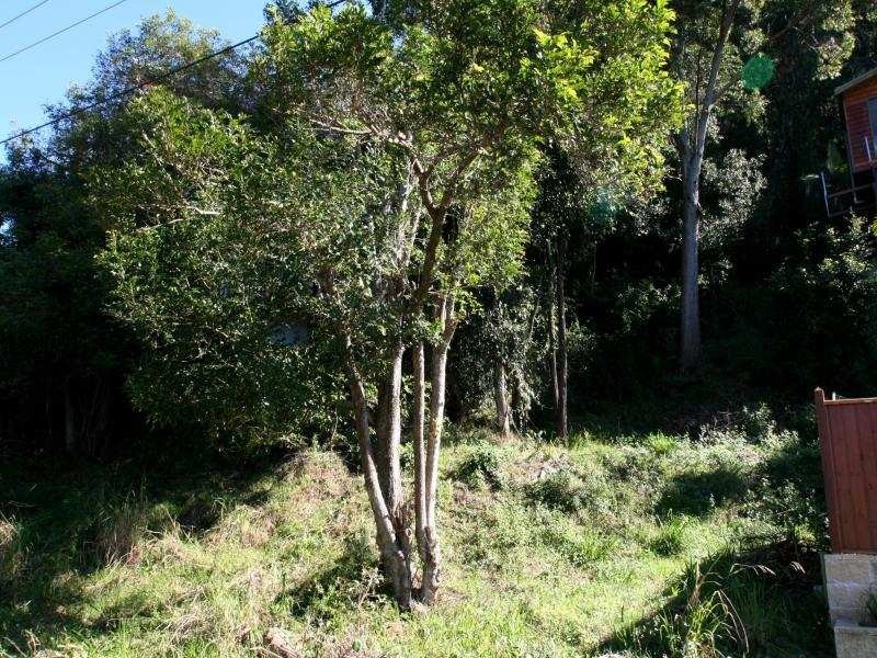 73 Broadwater Dr, Saratoga NSW 2251