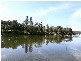 7 Alkoomie Close, Davistown NSW 2251