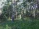 Carrowbrook NSW 2330