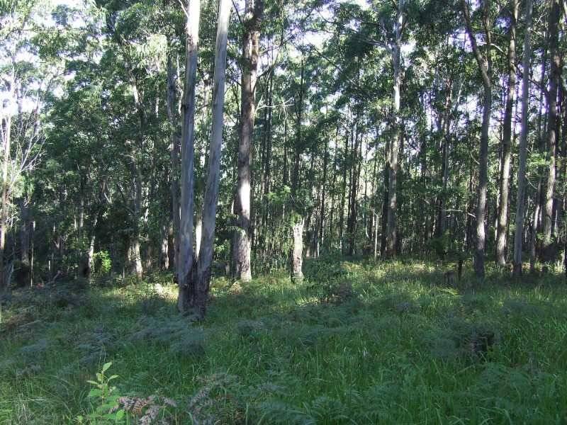 Carrowbrook NSW 2330