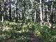 Carrowbrook NSW 2330