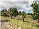985 Robinsons Road, Pearcedale VIC 3912