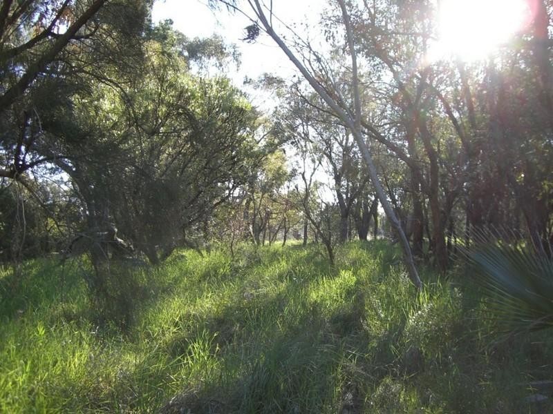 29 Aquanita Place, Wanneroo WA 6065