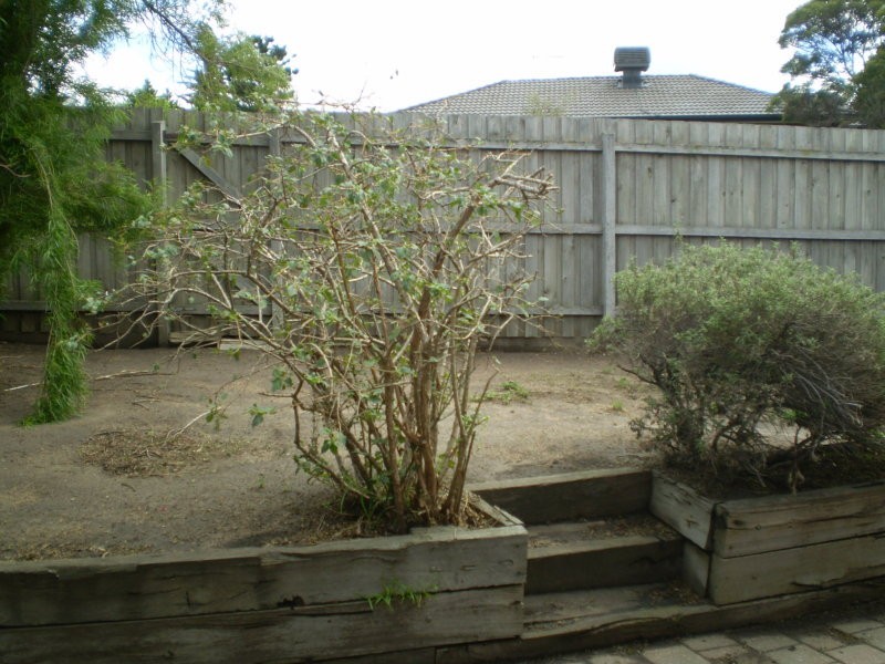 115 Lightwood Street, Meadow Heights VIC 3048