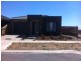 81 Oakbank Boulevard, Whittlesea VIC 3757