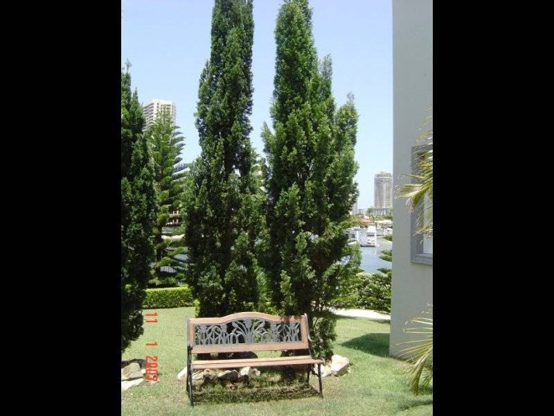 31 Buccaneer Court, Surfers Paradise QLD 4217