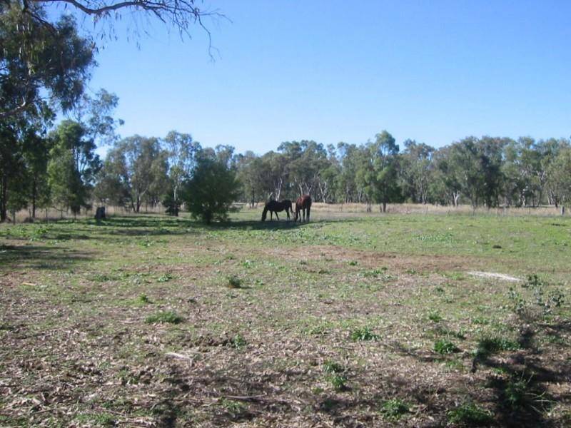 1264 New England Highway, Kootingal NSW 2352