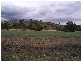 123 Martins Lane, Tamworth NSW 2340