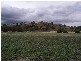 123 Martins Lane, Tamworth NSW 2340