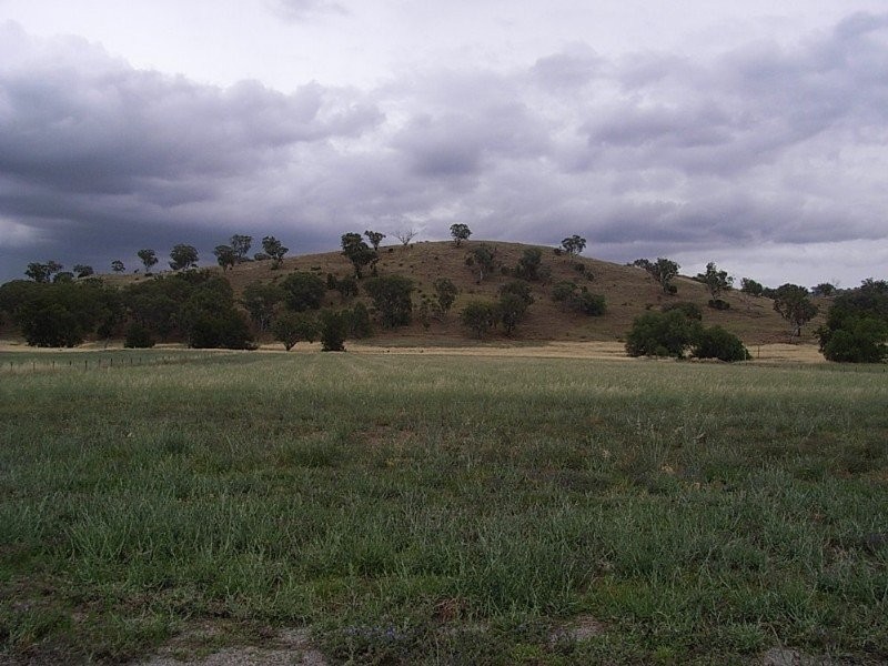 123 Martins Lane, Tamworth NSW 2340