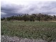 123 Martins Lane, Tamworth NSW 2340