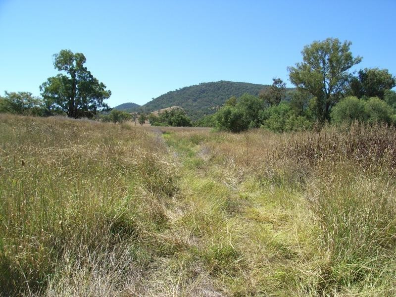 Lot 16 Martins Lane, Tamworth NSW 2340