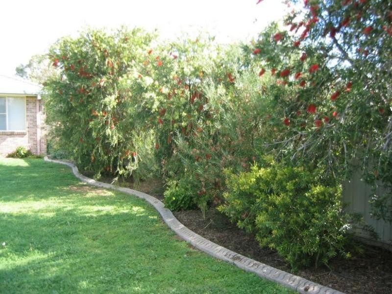 50 Susanne Street, Tamworth NSW 2340