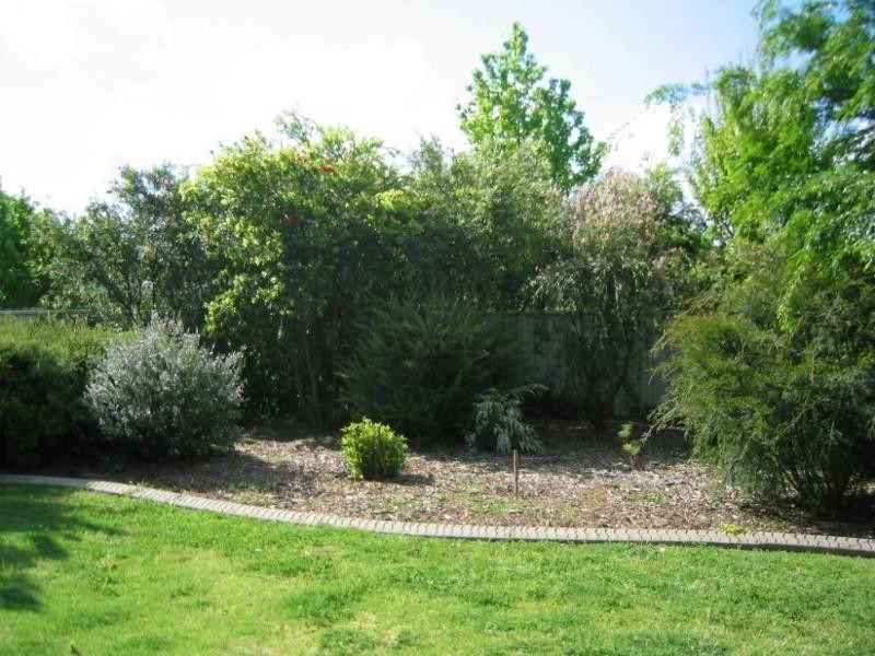 50 Susanne Street, Tamworth NSW 2340