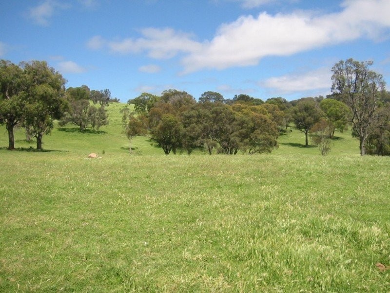 . “Rimbanda”, Kentucky NSW 2354