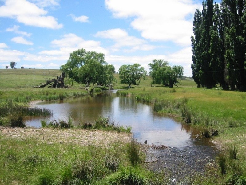 . “Rimbanda”, Kentucky NSW 2354