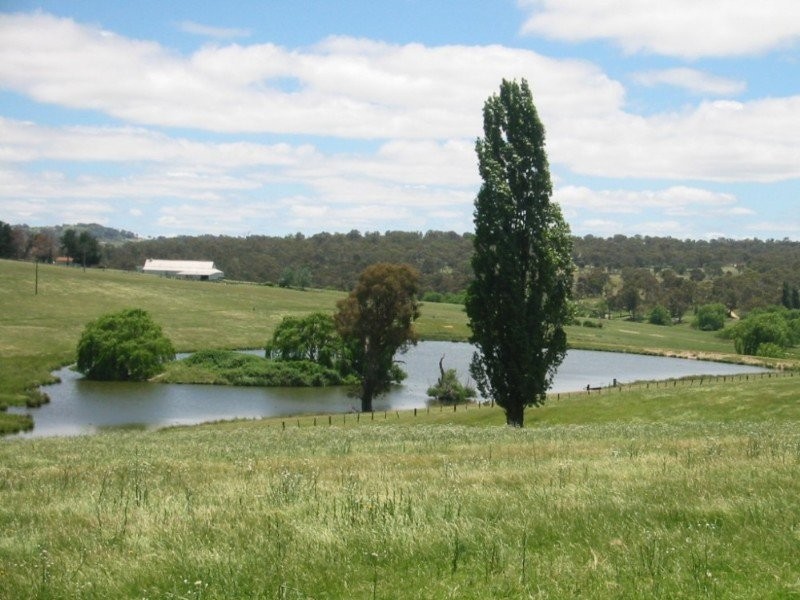 . “Rimbanda”, Kentucky NSW 2354