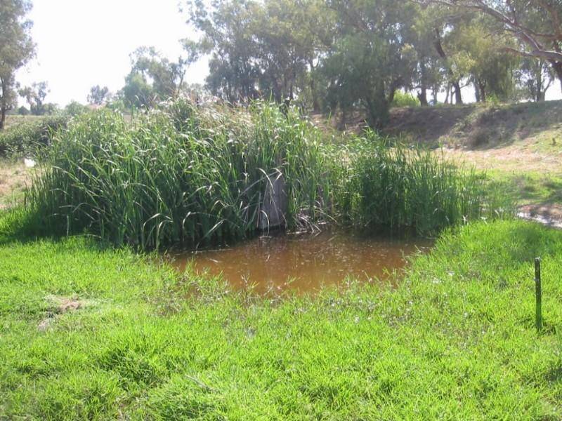 . "Woodlands", Tamworth NSW 2340