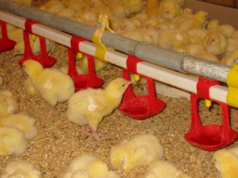 Lot 321 Meadows Lane, Tamworth NSW 2340